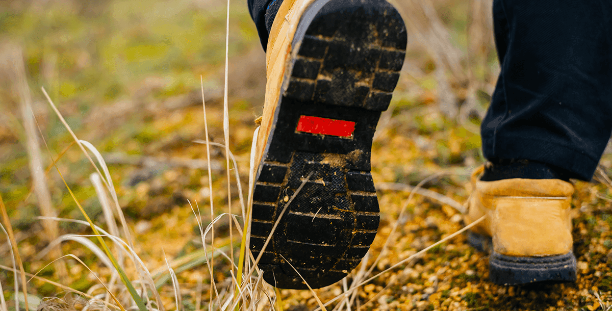 Vandresko går på en skovsti